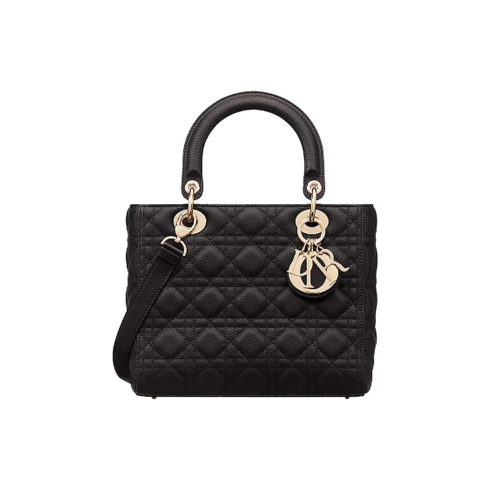 DIOR 미디움 레이디백