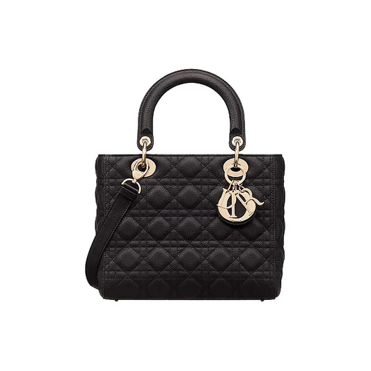 DIOR 미디움 레이디백