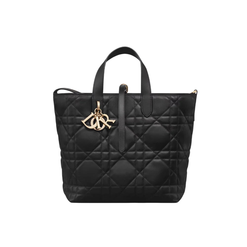 DIOR 버티컬 토트백