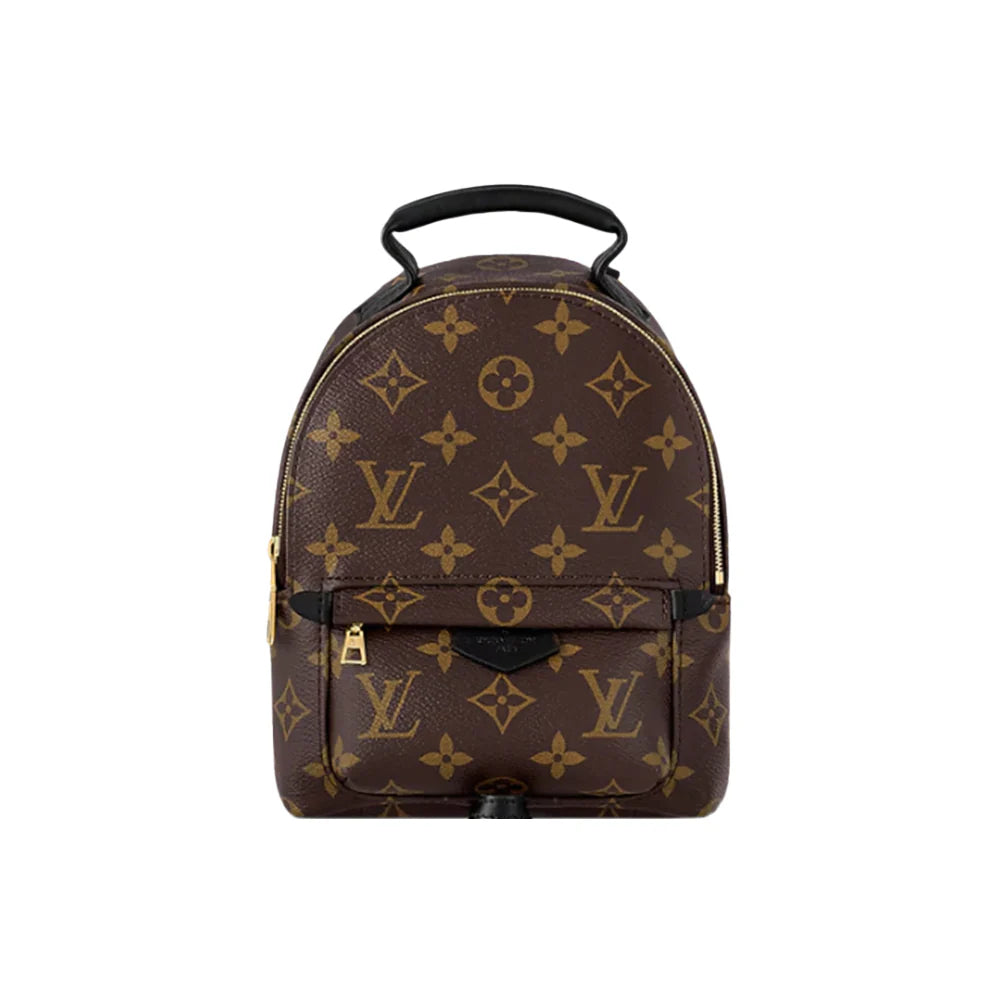 LOUIS VUITTON 팜스프링스 미니 백팩